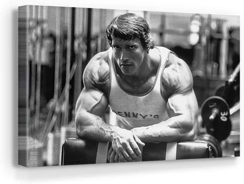 Vista 5 de Blaze Canvas Arnold Schwarzenegger - Lienzo de culturismo para decoración del hogar (3 piezas, mediano)