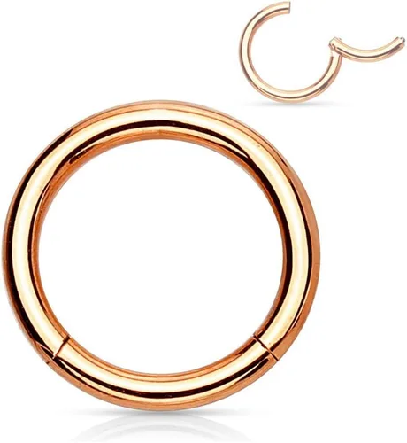 Vista 106 de Forbidden Body Jewelry - Piercing para la nariz de acero quirúrgico 316L con bisagra, 14G, 16G, 18G, diámetro de 15/64, 5/16, 25/64, 15/32 pulgadas
