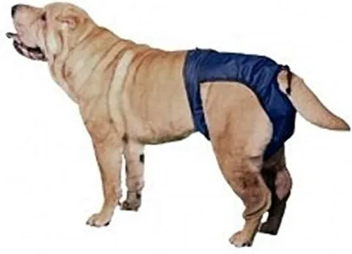 Vista 6 de Integrated Pet Solutions SnuggEase - Pañal lavable para perros, grande