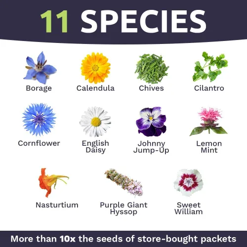 Vista 4 de Wildflower Seeds - Mezcla de flores comestibles, 1 onza más de 7,000 semillas anuales y perennes polinizadas abiertas