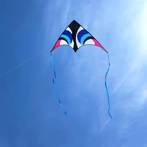 Vista 5 de Delta Kite para niños y adultos, fácil de volar, cometa de playa grande de una sola línea con mango de cuerda de 300 pies incluido, perfecta