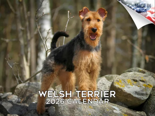 Vista 161 de Calendario de Lebrel Afgano 2025 2026, calendario mensual de pared de raza canina, 12" x 18" abierto, papel grueso sin traspaso, ideal para regalo