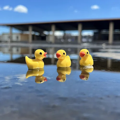 Vista 4 de WEHOO 220 Piezas Figuras Miniatura de Pato de Resina, Adornos en Miniatura para Jardín de Hadas, Paisaje en Miniatura, Acuario, Juego de Ocultación