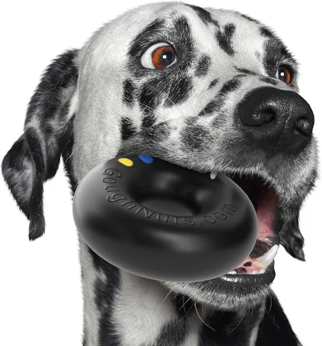 Vista 6 de Goughnuts - Juguete de goma para morder para perros Med.75, verde, anillo