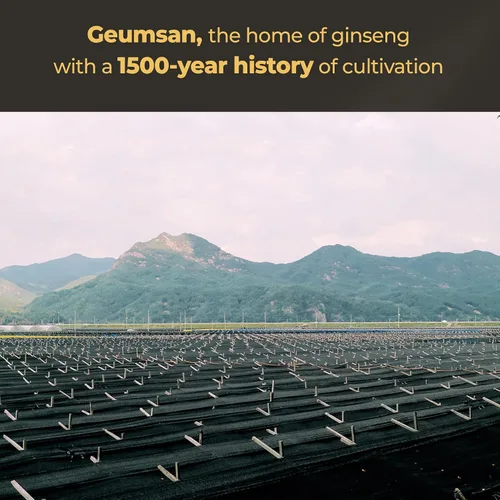 Vista 4 de GeumHeuk Extracto de ginseng negro coreano cada ginseng Plus. Bolsas de barra de 0.35 oz x 30. Apoyo inmunológico, refuerzo de energía, recuperación