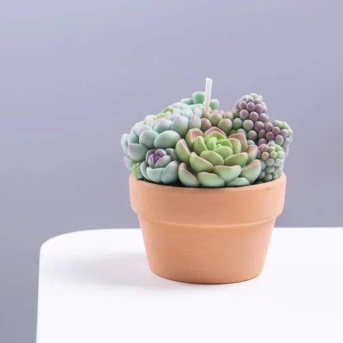 Vista 7 de Surtido suculento Pot vela perfumada para spa decoración del hogar regalo de boda