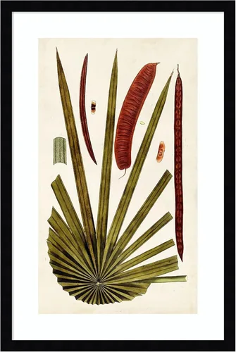 Vista 13 de Amanti Art Vision Studio - Lienzo decorativo para pared, 24 x 17 pulgadas, variedades de hojas VI por Vision Studio, arte de pared de naturaleza