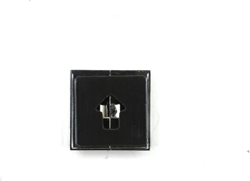 Vista 2 de Accesorios originales GM 15223484 Emblema delantero