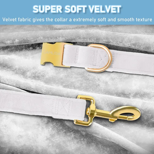 Vista 4 de GAMUDA Collar y correa de terciopelo para perro, súper suave y liso, hebilla dorada resistente, cómodo y fácil de limpiar, collar ajustable
