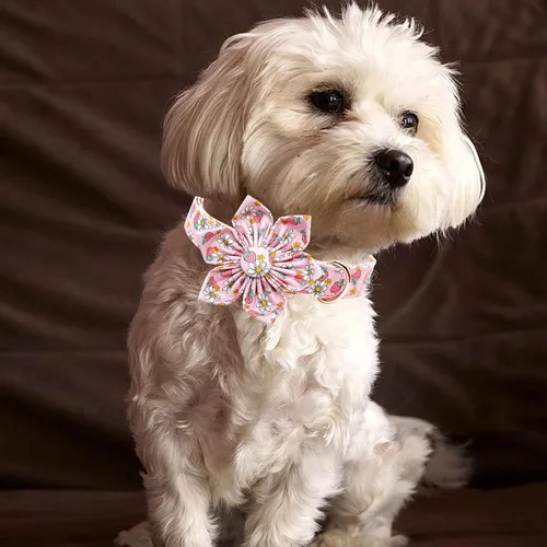 Vista 43 de Collar de perro Lionheart Glory, collar de perro rosa con flor, lindo collar para mascotas con patrón floral ajustable para perros pequeños Rosado