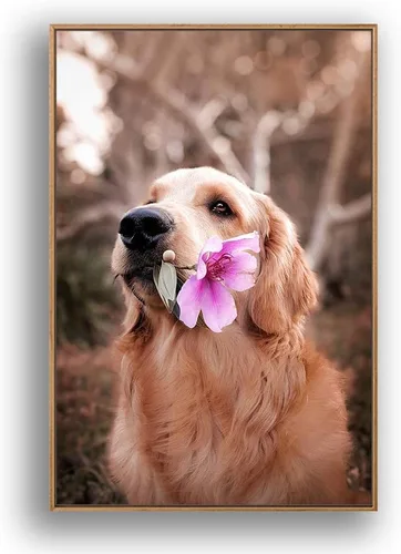 Vista 11 de Signford - Lienzo personalizado personalizado con fotos de tu mascota impresas digitalmente, 16.0 x 16.0 in, marco negro