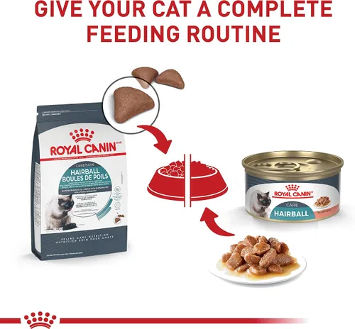 Vista 6 de Royal Canin Feline Care Nutrition Hairball Care Alimento seco para gatos adultos, bolsa de 3 libras