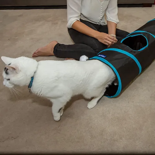 Vista 4 de PetLike Túnel para gatos de interior plegable para mascotas, tubo emergente para mascotas, escondite, juguetes de juego para gatos con pelota