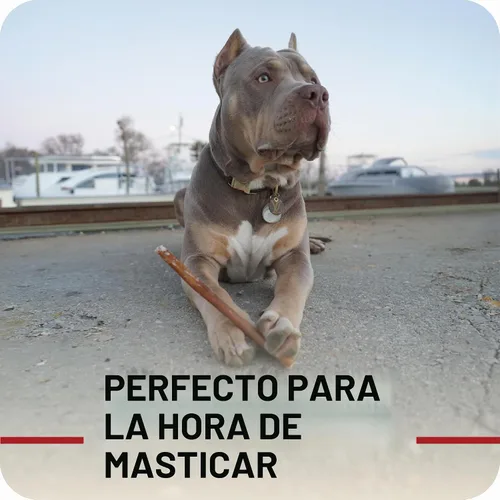 Vista 7 de Redbarn Pet Products All Natural Bully Sticks de 5 a 8 pulgadas para perros pequeños y grandes – Paquete variado de masticables saludables de larga