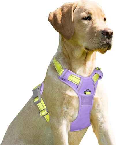 Vista 188 de BARKBAY - Arnés para perro sin tirones con clip frontal, material resistente y reflectante, asa de fácil control para pasear perros grandes