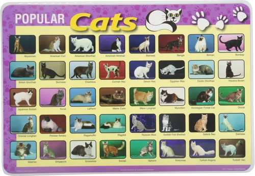 Vista 7 de Painless Learning Popular Birds - Mantel individual, tamaño grande