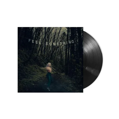 Vista 2 de Feel SomethingLP