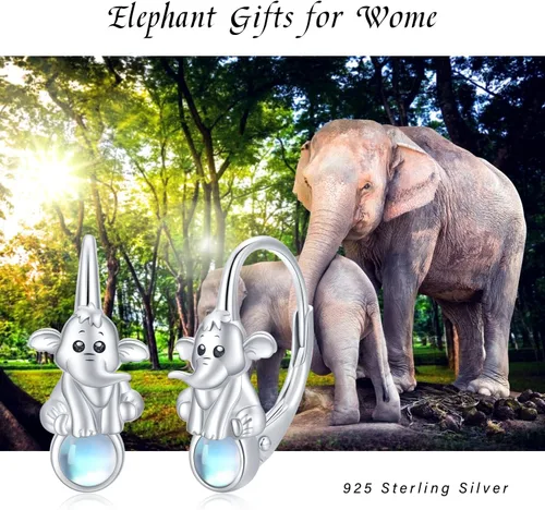 Vista 4 de Aretes de plata de ley con diseño de perezoso, caballo, búho, gato, miel, libélula, tiburón, delfín, tortuga, elefante, rana, perezoso, búho, koala