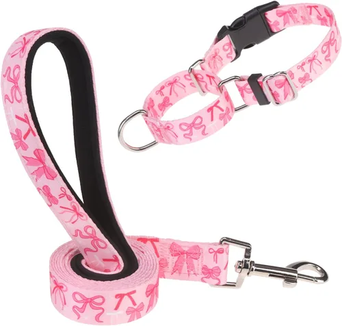 Vista 11 de Martingale - Juego de collar y correa para perro, para caminar, jugar, entrenar, collares reflectantes ajustables con correa para perros pequeños
