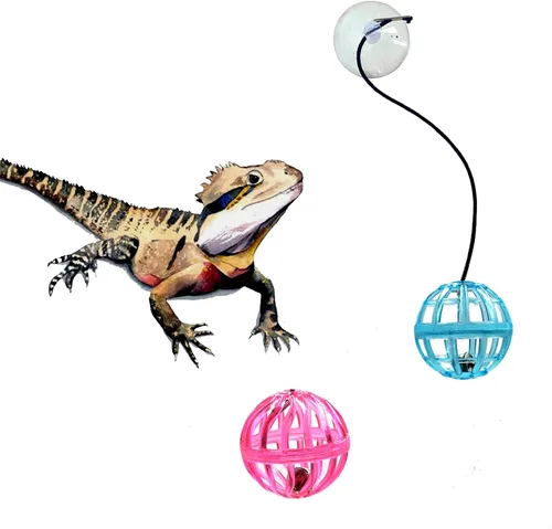 Vista 4 de Paquete de 6 bolas de juguete de dragón barbudo, bola de juguete de lagarto reptil con ventosa y cuerda para dragón barbudo, lagarto, gecko