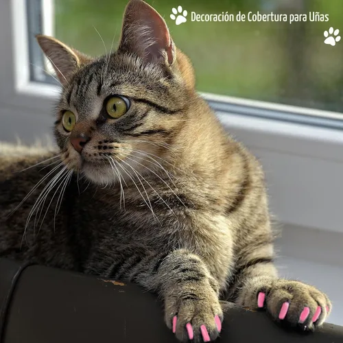 Vista 6 de Bolsa de baño para gatos, 10 piezas, kit de aseo para ducha de gato, verde y rosa
