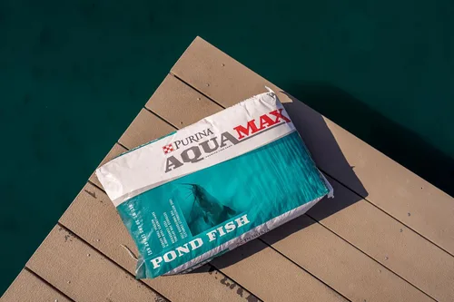 Vista 2 de Purina AquaMax Pond Fish 2000 Alimento flotante para estanques y lagos Bluegill Fish Food, alimento para peces de caza, bagre, koi y lubina