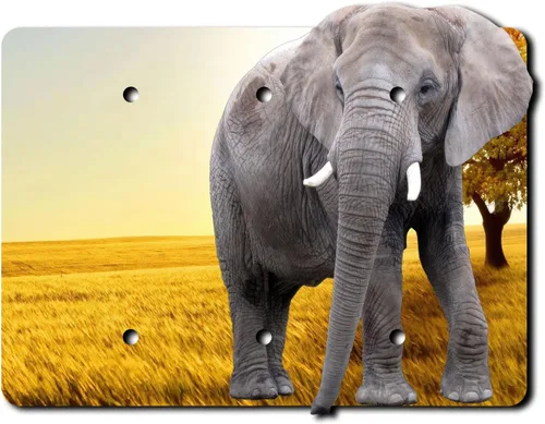 Vista 6 de Cubierta eléctrica acrílica decorativa de elefante - Interruptor de luz doble