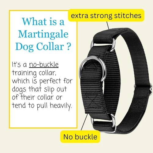 Vista 5 de Country Brook Petz - Collar Martingale para perro - Collar de entrenamiento resistente sin hebilla - Collar para perro de servicio para todas