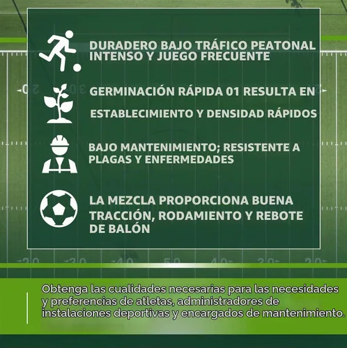 Vista 2 de Athletic Field - Semillas de césped (5 libras)