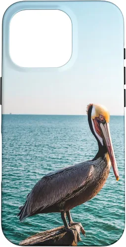 Vista 19 de iPhone 11 Pelican Case