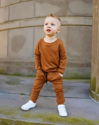 Vista 2 de 2 piezas de sudadera para bebé niño, ropa de bloque de color, manga larga, sudadera con pantalones deportivos para otoño