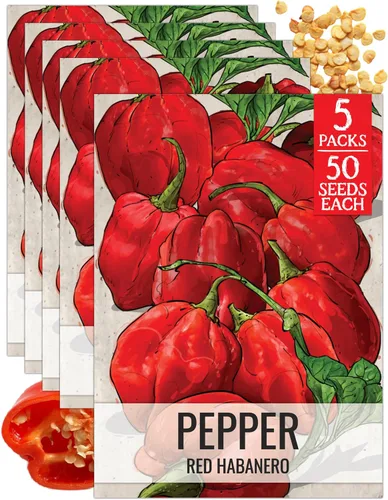 Vista 32 de Seed Needs - Semillas de pimiento arcoíris para plantar verduras, 1 paquete