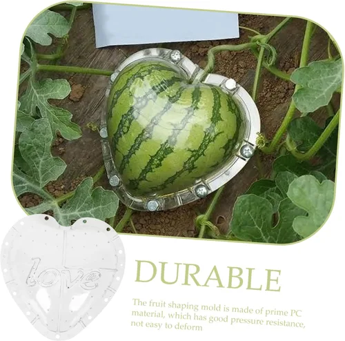 Vista 5 de Herramienta de jardín de sandía para crecimiento de plantas, molde de formación de vegetales, fruta transparente, frutas de plástico, herramientas