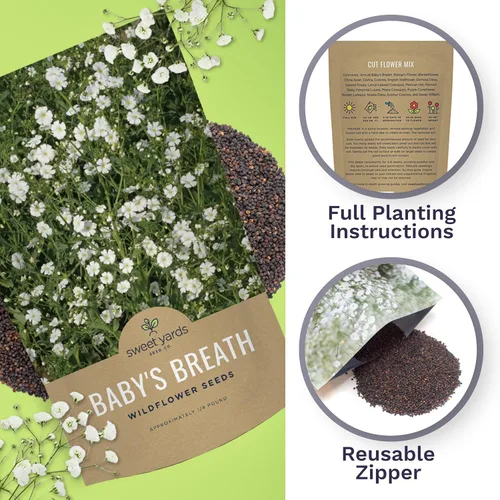 Vista 5 de Semillas de Gypsophila elegans de Baby's Breath vistosas – Bolsa a granel de un cuarto de libra – Más de 80.000 semillas de flores silvestres