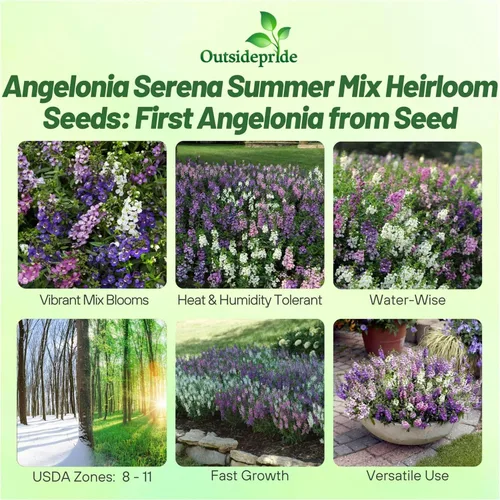 Vista 2 de Outsidepride Serena Mix Angelonia - Semillas de dragón para plantar, 10 semillas de flores perennes, aptas para polinizadores, tolerantes al calor