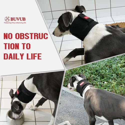 Vista 4 de Soporte ajustable para el cuello del perro para aliviar el dolor de cuello y lesiones, collar de apoyo suave y cómodo para perros