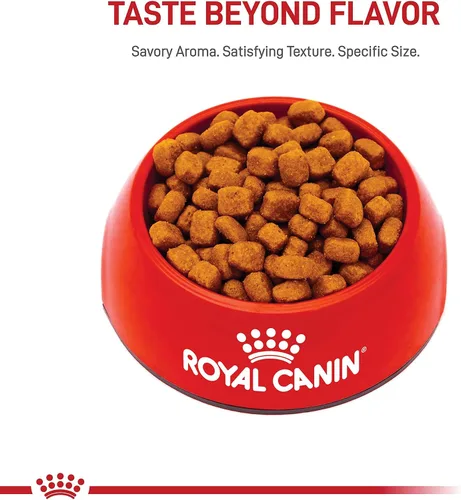 Vista 7 de Royal Canin Feline Care Nutrition Dental Care Alimento seco para gatos adultos, bolsa de 3 libras