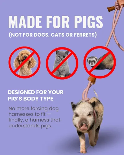 Vista 5 de PORCINE® Arnés y correa para mini cerdo, arnés totalmente ajustable con correa de estilo infinito, ideal para cerdos pequeños y medianos, duradero