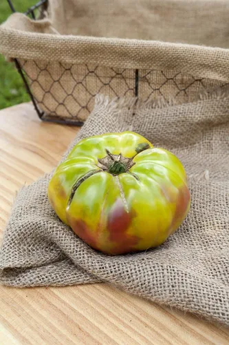 Vista 2 de Ananas Noire Black Pineapple Heirloom - Paquete de semillas prémium de tomate y más