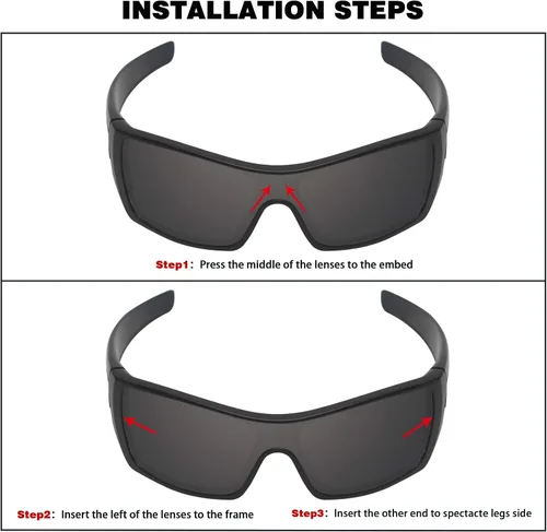 Vista 4 de Guarda Lentes de repuesto TRUE POLARIZED para gafas de sol Oakley Batwolf OO9101