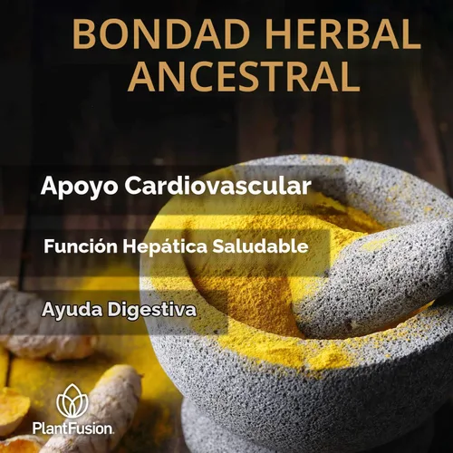 Vista 4 de PlantFusion - Suplemento en polvo de cúrcuma y jengibre, 4.76 onzas, 30 porciones Leche dorada en polvo con curcuminoides; certificado orgánico