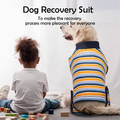 Vista 7 de Kuoser Traje de recuperación para perros y gatos después de la cirugía, camisa profesional de recuperación de mascotas, vendajes para heridas
