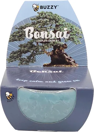 Vista 7 de BUZZY El kit de cultivo de árboles bonsái incluye pino austriaco negro, ciprés de Monterey, abeto azul, abeto noruega con macetas crujientes verdes