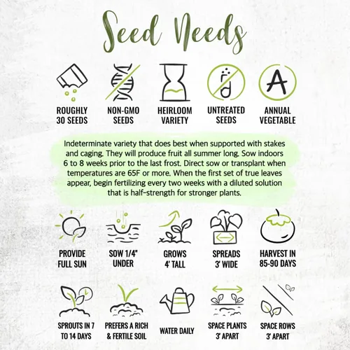 Vista 8 de Seed Needs Semillas de tomate para plantar tomates indeterminados de carne de res verdaderos, reliquia sin OMG y semillas de vegetales sin tratar
