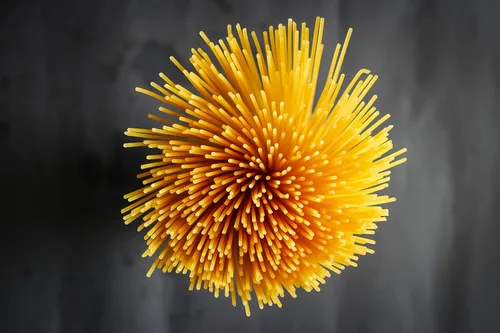 Vista 3 de Sanniti Pasta italiana sin gluten (paquete de 2) (espaguetis, 8.8 oz)