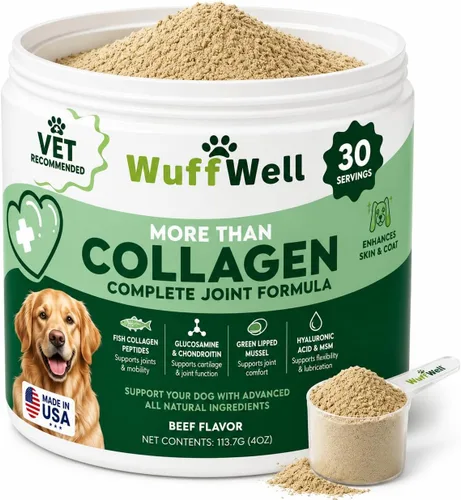 Vista 15 de WuffWell - Polvo dental probiótico para dientes de perros, fabricado en Allergy Itch