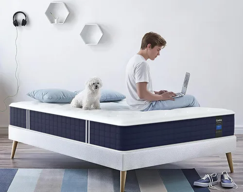 Vista 2 de Coolvie Colchón Twin de 10 pulgadas, Colchón híbrido con espuma viscoelástica de gel para un sueño nocturno fresco y alivio de presión, bolsillos