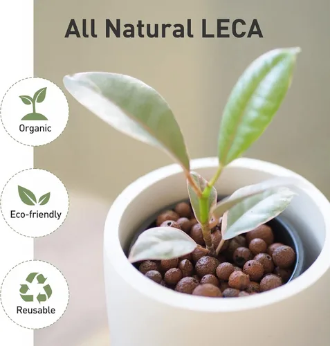 Vista 4 de GASPRO 5lb de bolas de arcilla expandida orgánicas para plantas, 100% naturales, bolas Leca para el desarrollo de raíces en macetas, mezcla