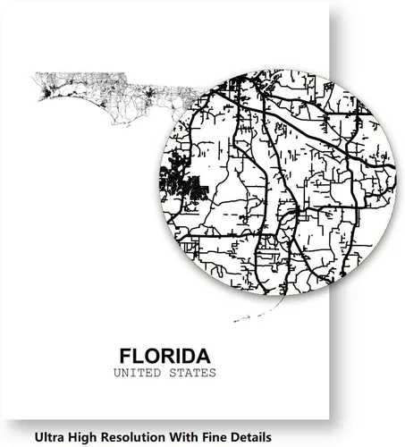 Vista 6 de Eleville 8X10 sin marco Florida Estados Unidos vista del país camino abstracto mapa moderno arte impresión póster pared oficina hogar decoración