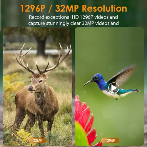 Vista 2 de Cámara para capturar la vida silvestre de 16 MP y HD, de Blazevideo